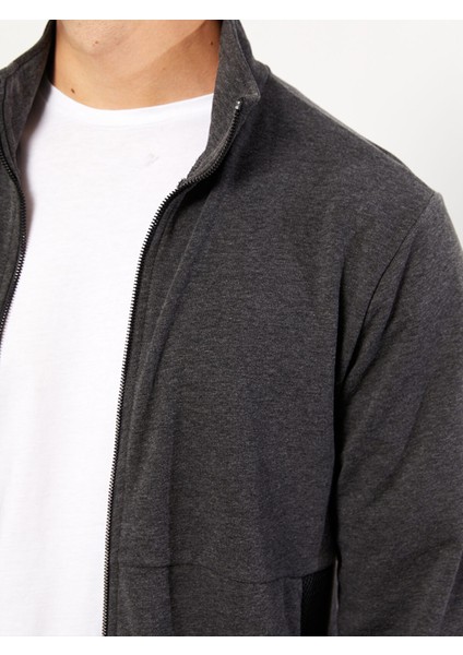 Yeni Sezon Standart Kalıp Dik Yaka Erkek Spor Hırka modelleri