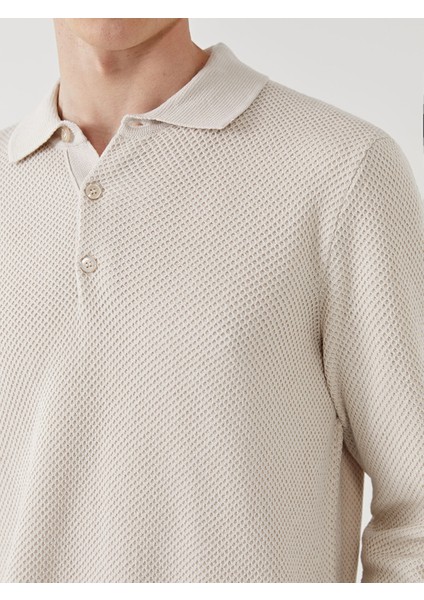 Yeni Sezon Polo Yaka Uzun Kollu Erkek Triko Kazak modelleri