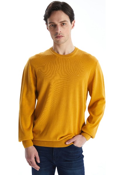 Yeni Sezon Bisiklet Yaka Erkek Triko Kazak