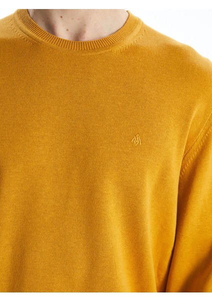 Yeni Sezon Bisiklet Yaka Erkek Triko Kazak modelleri