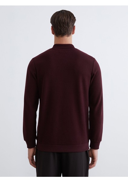 Yeni Sezon Polo Yaka Erkek Sweatshirt fırsatları