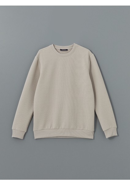 Yeni Sezon Bisiklet Yaka Uzun Kollu Erkek Sweatshirt indirimleri