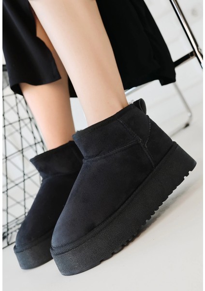 Linne Siyah Süet Bot