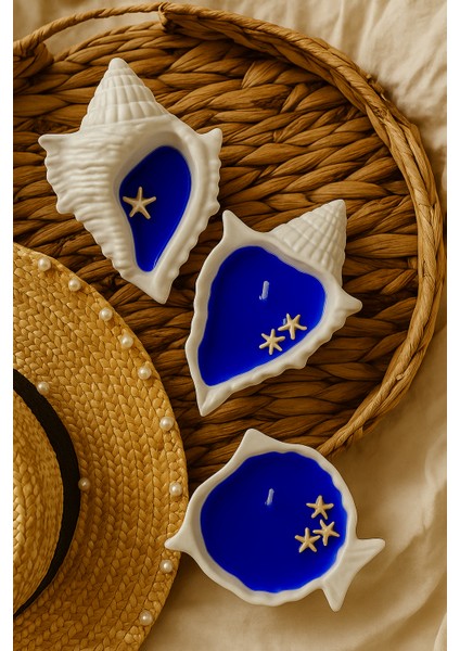 2’li Deniz Kabuğu Tasarımlı Kokulu Mum – Mavi Renk – Dekoratif Deniz Temalı Mum Seti fiyatları