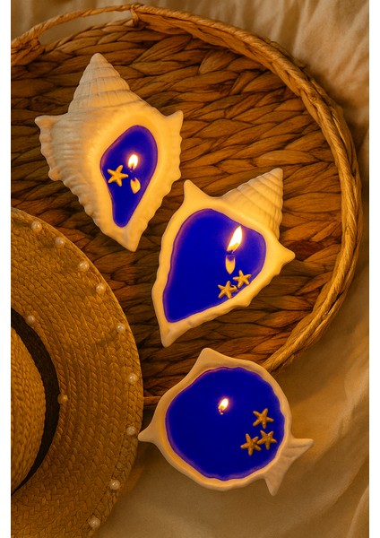 2’li Deniz Kabuğu Tasarımlı Kokulu Mum – Mavi Renk – Dekoratif Deniz Temalı Mum Seti modelleri
