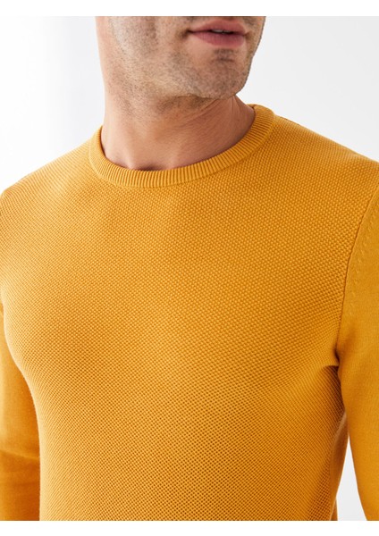 Yeni Sezon Bisiklet Yaka Erkek Triko Kazak fırsatları