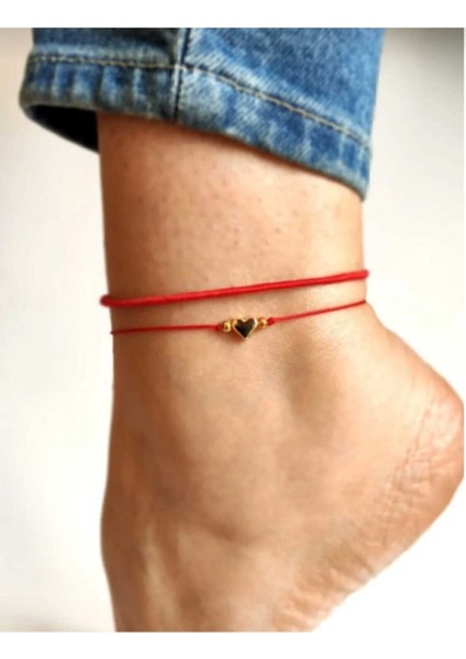 Ip Halhal Detaylı fiyatları