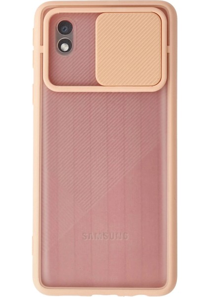 Samsung Galaxy A01 Core Kılıf Palm Buzlu Kamera Sürgülü Silikon - Pembe