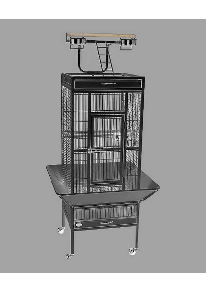 Mtxdpn Dayang Papağan Kafes Ayakli 45.7X45.7X156CM Siyah