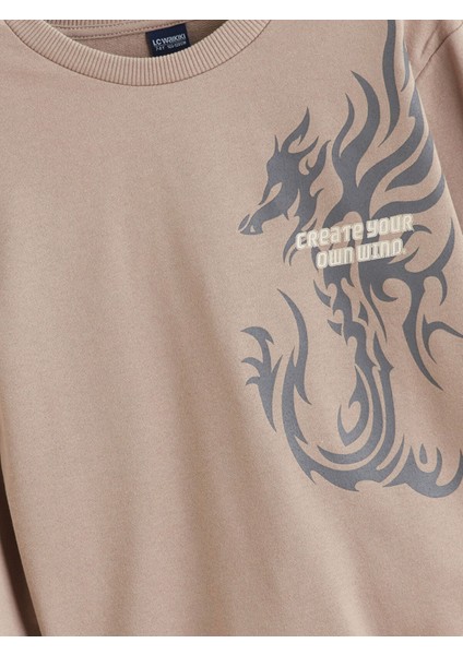 Yeni Sezon Bisiklet Yaka Erkek Çocuk Sweatshirt fiyatları