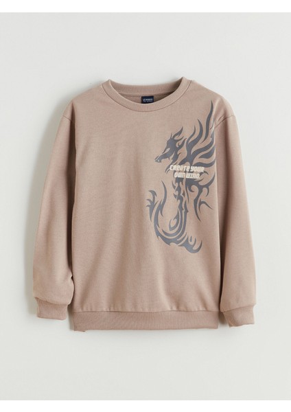 Yeni Sezon Bisiklet Yaka Erkek Çocuk Sweatshirt modelleri