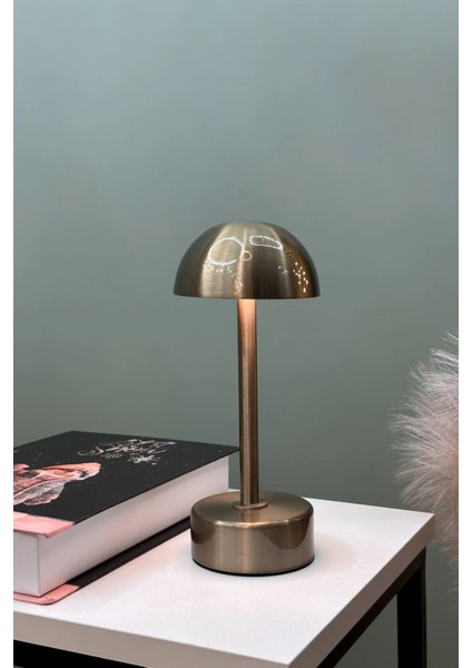 Nosta 3 Kademe On-Off Şarjlı Masa Lambası fırsatları