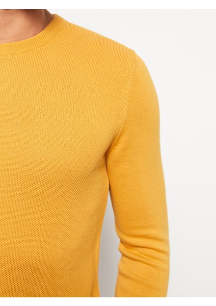 Yeni Sezon Bisiklet Yaka Erkek Triko Kazak fırsatları