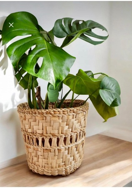 Hasır El Yapımı Büyük Saksı 28 Çap