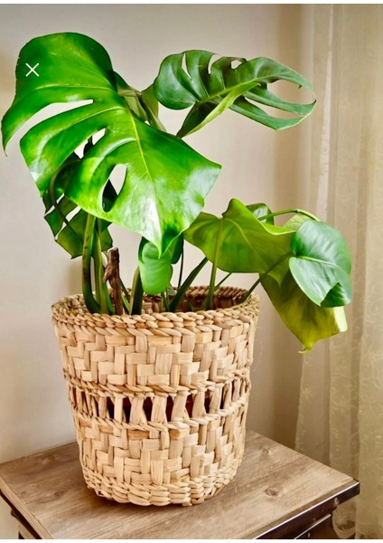 Hasır El Yapımı Büyük Saksı 28 Çap fiyatları