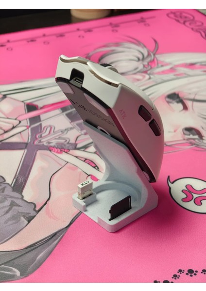 Universal Gaming Mouse Standı / Display Tutucu - Kişiselleştirilebilir Renk Masa Düzenleme Aksesuarı fiyatları