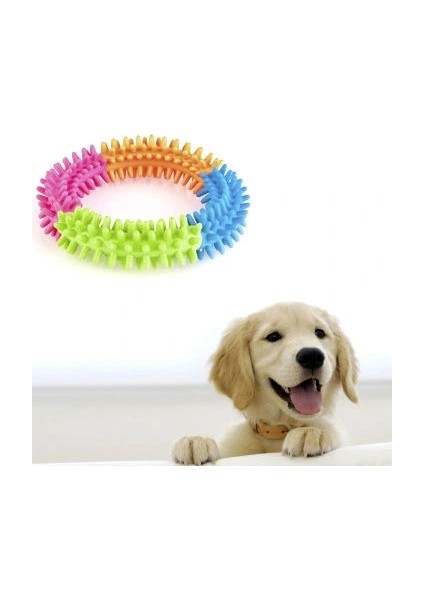 Köpek Oyuncağı Yuvarlak Diş Temizleyici Oyuncak