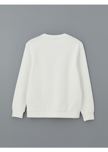 Yeni Sezon Bisiklet Yaka Uzun Kollu Erkek Sweatshirt fiyatları