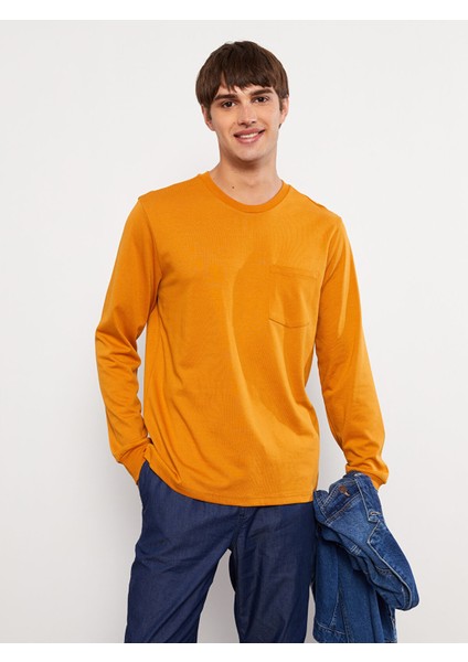 Yeni Sezon Bisiklet Yaka Uzun Kollu Erkek Sweatshirt modelleri