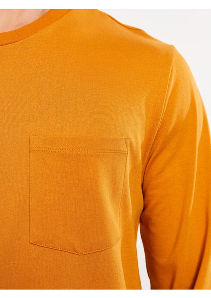 Yeni Sezon Bisiklet Yaka Uzun Kollu Erkek Sweatshirt fırsatları