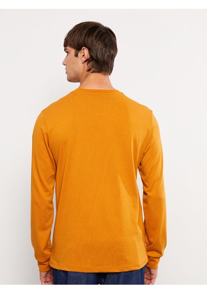 Yeni Sezon Bisiklet Yaka Uzun Kollu Erkek Sweatshirt indirimleri