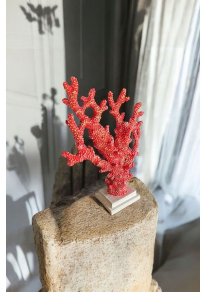 Dekoratif Mercan Biblo fiyatları