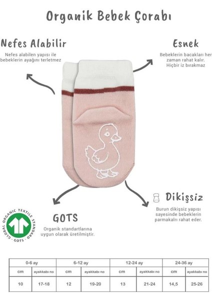 Bfs Bistyle Hayvan Figür Kaymaz Kız Soket Çorap 2'li BS10120 Gri fiyatları