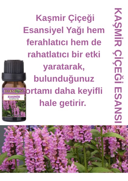 Kaşmir Esansiyel Uçucu Koku 10ML Difüzör Esansı Buhurdanlık Yağı ve Oda Kokusu 5AL 4öde fiyatları