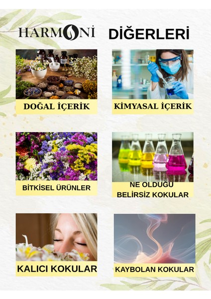 Kaşmir Esansiyel Uçucu Koku 10ML Difüzör Esansı Buhurdanlık Yağı ve Oda Kokusu 5AL 4öde