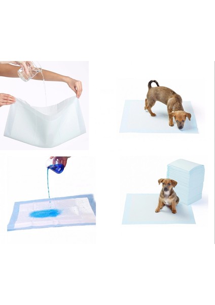 Yıkanabilir Köpek Çiş Pedi - 100 x 100 cm