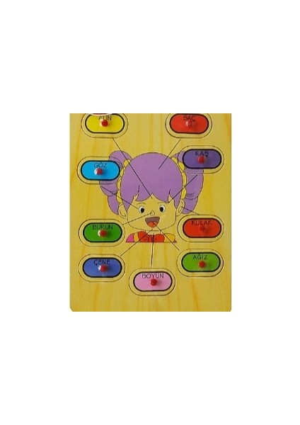 Ahşap 9 Parçalı Kız Için Bul Tak Çocuk PUZZLE30X22CMX0,8CM