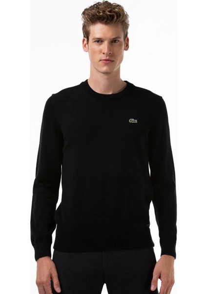 Bisiklet Yaka Erkek Regular Fit Triko