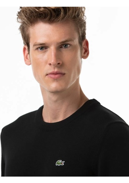 Bisiklet Yaka Erkek Regular Fit Triko fırsatları