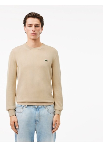 Bisiklet Yaka Erkek Regular Fit Triko