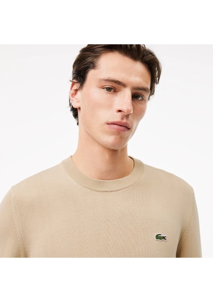 Bisiklet Yaka Erkek Regular Fit Triko fiyatları