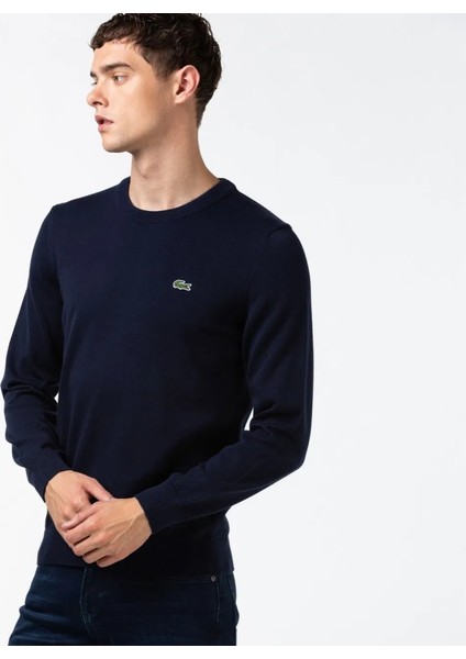 Bisiklet Yaka Erkek Regular Fit Triko