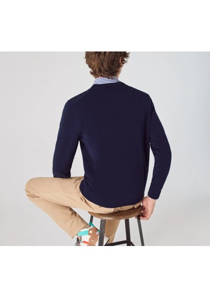 Bisiklet Yaka Erkek Regular Fit Triko indirimleri