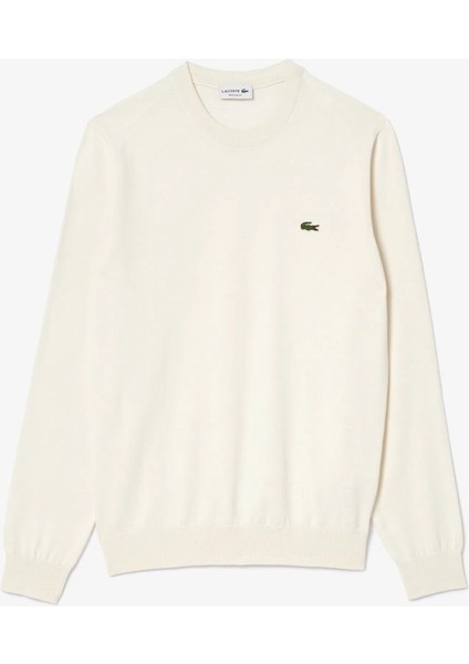 Bisiklet Yaka Erkek Regular Fit Triko fırsatları