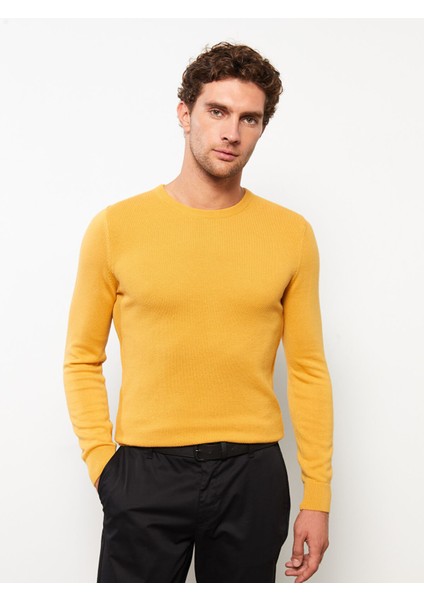 Yeni Sezon Bisiklet Yaka Erkek Triko Kazak