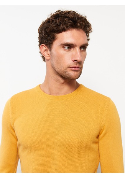 Yeni Sezon Bisiklet Yaka Erkek Triko Kazak modelleri