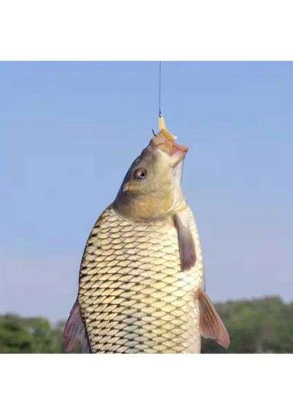 Gerçek Görünümlü Silikon Kurtçuk Yapay Balık Yemi 2cm 10 Adet indirimleri