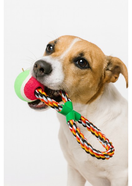 Ipli Köpek Oyun Topu | Dayanıklı Köpek Oyuncağı Çekiştirme ve Top Oyunu