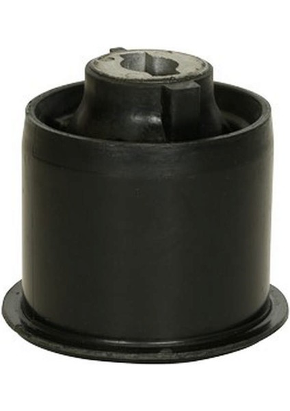 Mtxdpn Torsiyon Burcu Arka Citroen C4