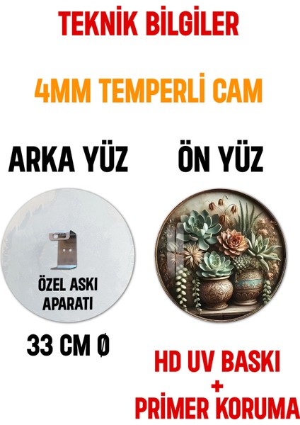 3D Görünümlü Temperli Cam Tablo – Sukulent ve Çiçek Teması Duvar Süsü Uv Baskı 33X33 CM-CDS146