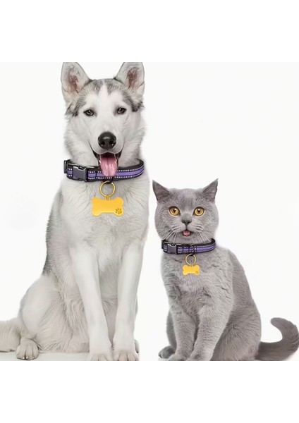 316L Paslanmaz Çelik Kişiye Özel Köpek ve Kedi Isimlik – Altın Renk Kemik Formlu Tasma Plakası modelleri
