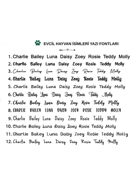 316L Paslanmaz Çelik Kişiye Özel Köpek ve Kedi Isimlik – Altın Renk Kemik Formlu Tasma Plakası