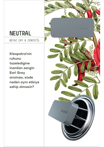 Araba Klima Kokusu, Flat Oto Kokusu 3'lü Set, Beyaz Çay Zencefil Aromalı, 60 Gün Etkili Araç Kokusu - Neutral modelleri