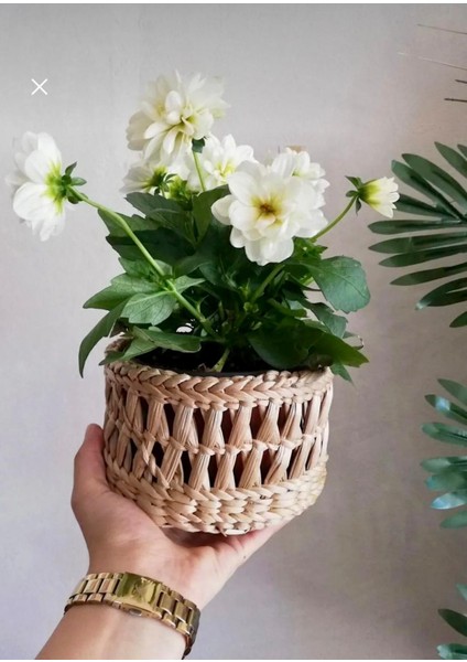 Ss Eralkoop Çok Amaçlı Dekoratif Hasır Sepet Saksılık