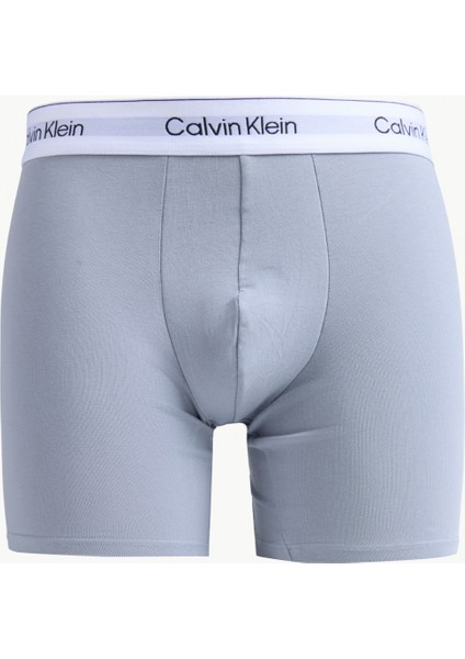 Çok Renkli Erkek Boxer LV00NB45672VI modelleri