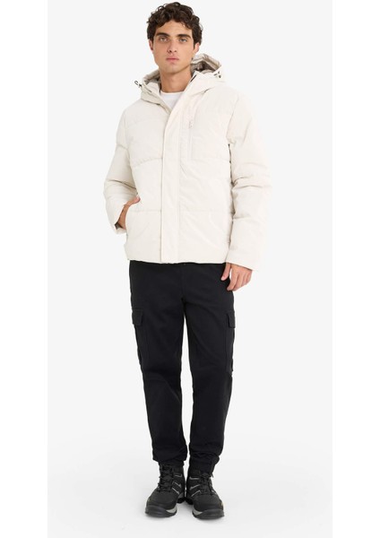 Su İtici Regular Fit Kapüşonlu Astarlı İç Cepli Fermuarlı Cepli Mont F1149AX25WN fiyatları